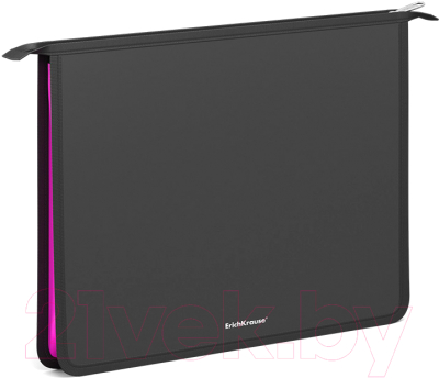 Изображение товара Папка для тетрадей Erich Krause Matt Accent / 55049 (4шт)