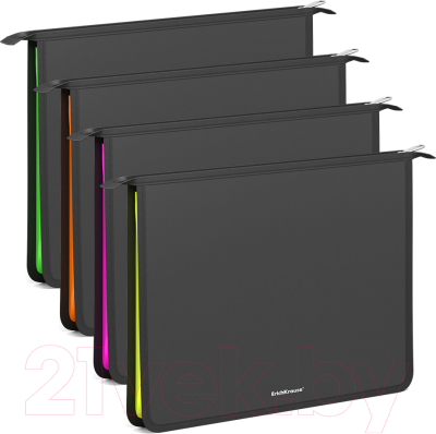 Изображение товара Папка для тетрадей Erich Krause Matt Accent / 55049 (4шт)