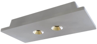 Комплект точечных светильников Loftit Architect OL1072-GH/2 - 