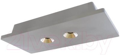 Комплект точечных светильников Loftit Architect OL1072-GH/2