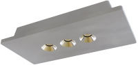 Комплект точечных светильников Loftit Architect OL1072-GH/3 - 