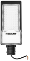 Светильник уличный Rexant ДКУ 01-100-5000К-ШС IP65 / 607-301 - 