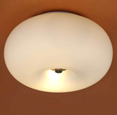 Потолочный светильник Eglo Optica 86811