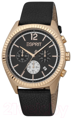 Часы наручные мужские Esprit ES1G309L0045