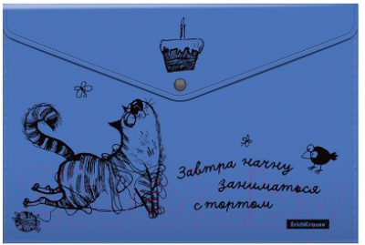 Изображение товара Набор папок Erich Krause Zen Cats / 54905 (4шт)