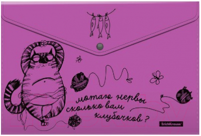 Изображение товара Набор папок Erich Krause Zen Cats / 54905 (4шт)