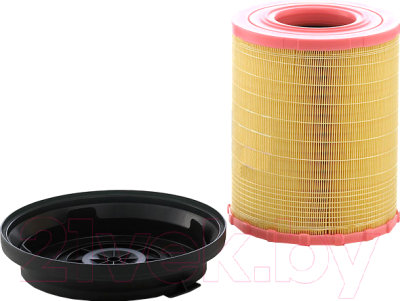 

Воздушный фильтр Mann-Filter, C29010 KIT