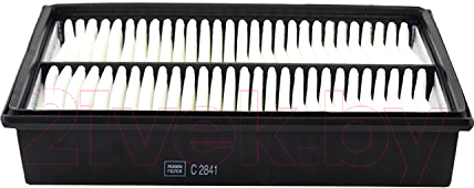 Воздушный фильтр Mann-Filter C2841