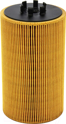 

Масляный фильтр Mann-Filter, HU13125X