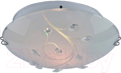 

Потолочный светильник Arte Lamp, Jasmine A4040PL-2CC