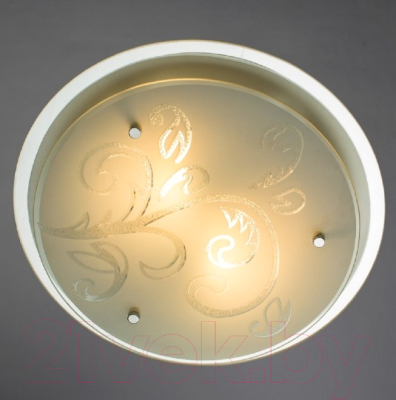 Потолочный светильник Arte Lamp Sinderella A4865PL-2CC