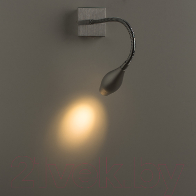 

Спот Arte Lamp, Picture Lights Led A7003AP-1SS