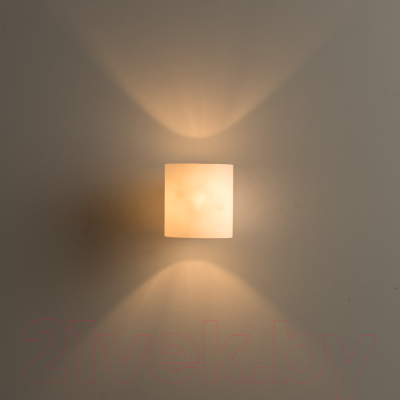 Светильник Arte Lamp Interior A7860AP-1WH