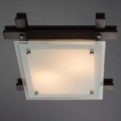 Потолочный светильник Arte Lamp Archimede A6462PL-2CK