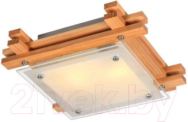 Потолочный светильник Arte Lamp Archimede A6460PL-2BR