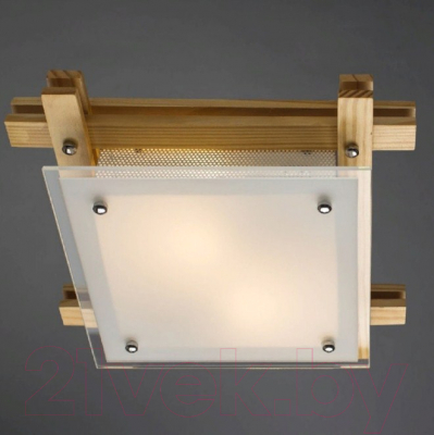Потолочный светильник Arte Lamp Archimede A6460PL-2BR
