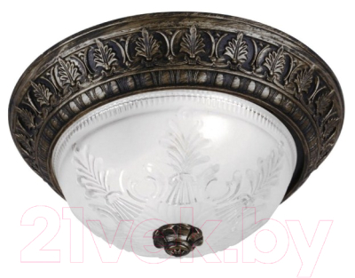 Потолочный светильник Arte Lamp Piatti A8005PL-2BN