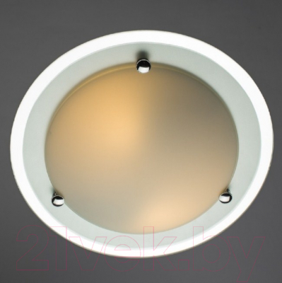 Потолочный светильник Arte Lamp Giselle A4831PL-2CC