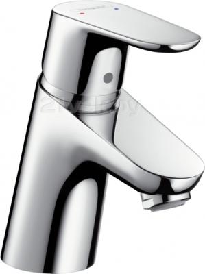 Смеситель Hansgrohe Focus 31733000 - общий вид