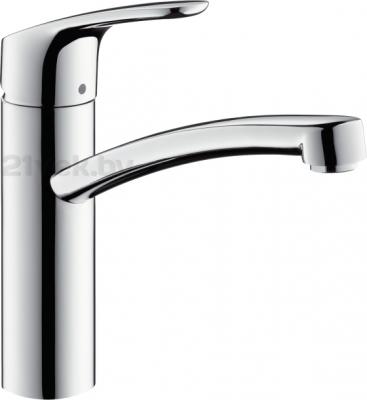 Смеситель Hansgrohe Focus 31806000 - общий вид