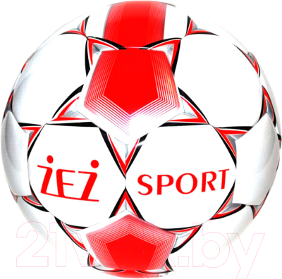 Мяч для футзала ZEZ Sport B05