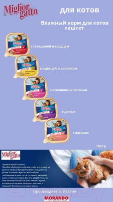 Влажный корм для кошек Miglior Gatto Salmon (100г)