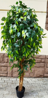 Искусственное растение ForGarden Дерево Ficus Benjamin Baft Tree / FGN BF00568 - 