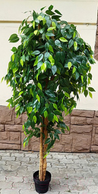 Искусственное растение ForGarden Дерево Ficus Benjamin Baft Tree / FGN BF00568