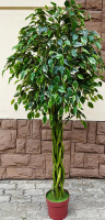 

Искусственное растение ForGarden, Дерево Ficus Motley / FGN BN08115