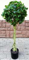 Искусственное растение ForGarden Дерево Chinese Ficus / FGN BF01703 - 