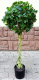 Искусственное растение ForGarden Дерево Chinese Ficus / FGN BF01703 - 