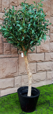 Искусственное растение ForGarden Дерево Olive Tree / FGN BF00614