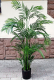 Искусственное растение ForGarden Дерево Areca Palm / FGN BF01709 - 