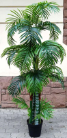 

Искусственное растение ForGarden, Дерево Palm Areca Tree / FGN BF00594