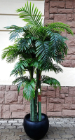 

Искусственное растение ForGarden, Дерево Palm Hawaii Tree / FGN BF00569