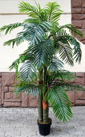 

Искусственное растение ForGarden, Дерево Palm Royal Tree GY / FGN BF00576