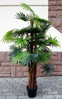 

Искусственное растение ForGarden, Дерево Palm Washington Tree / FGN BF00570