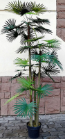 Искусственное растение ForGarden Дерево Palm Washington Tree / FGN BF00595 - 