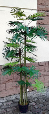 Искусственное растение ForGarden Дерево Palm Washington Tree / FGN BF00595