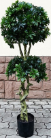 Искусственное растение ForGarden Дерево Pittisporum Double / FGN BF01699 - 