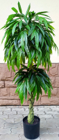 Искусственное растение ForGarden Дерево Slim Mango / FGN BF01688 - 