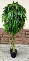 Искусственное растение ForGarden Дерево Slim Mango / FGN BF01690 - 