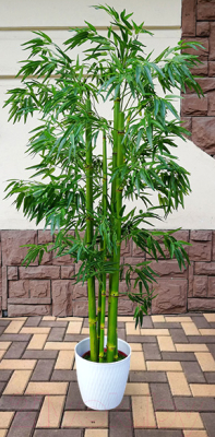 Искусственное растение ForGarden Дерево Bamboo / FGN BF00395