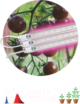 Лампа для растений ЭРА FITO-3х10W-LINE-RB90 / Б0050924