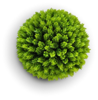 Искусственное растение ForGarden Самшит Fir Grass Ball Dia / FGN BF01023 - 