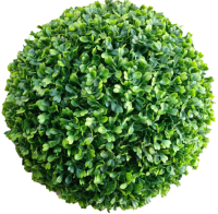 

Искусственное растение ForGarden, Самшит Green Pearl Grass Ball Dia / FGN BF00933