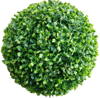 Искусственное растение ForGarden Самшит Green Pearl Grass Ball Dia / FGN BF01026 - 