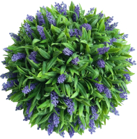 

Искусственное растение ForGarden, Самшит Lavendar Grass Ball / FGN BF00601