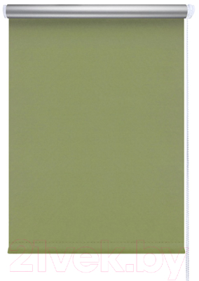Рулонная штора LEGRAND Блэкаут Сильвер 47x175 / 58 089 688 (зеленый)