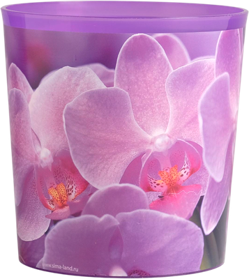 

Кашпо, Орхидея / 1345304